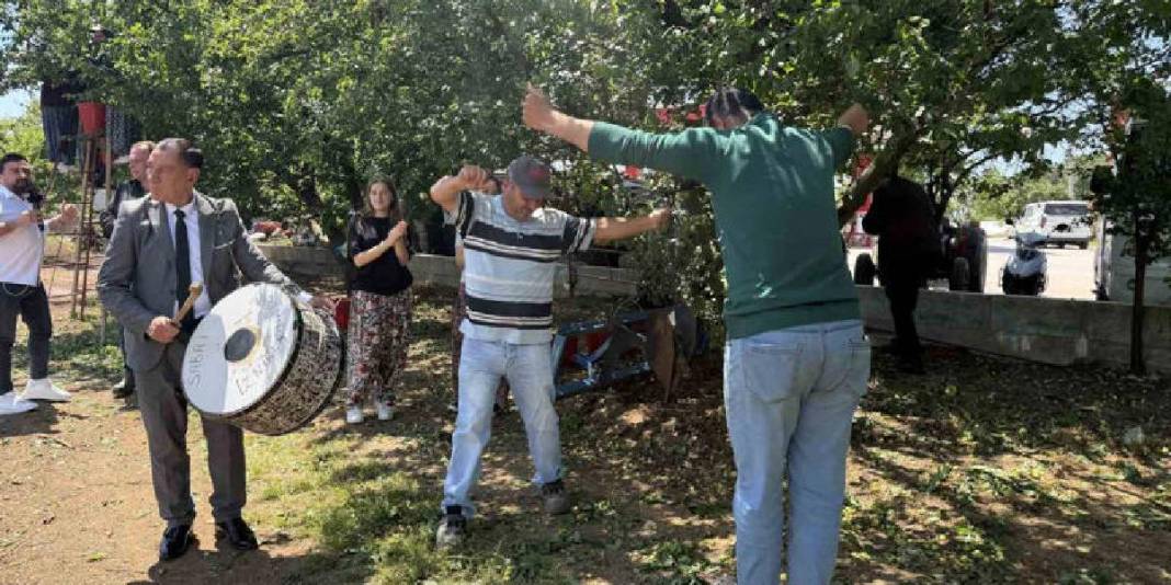 İlk hasat davul zurna ile yapıldı! Kilosu 120 TL’den satışa çıkacak 6